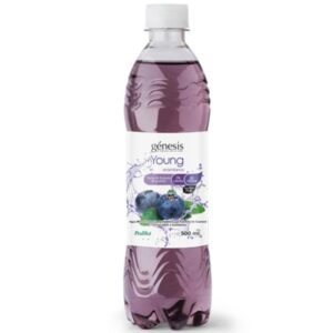 GENESIS AGUA YOUNG ARANDANOS 500ML  - Cod Int: 68152
