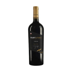 KINAST VINO PASO D'ANDES CARMENER 750ML  - Cod Int: 68421