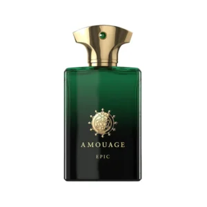AMOUAGE EPIC EDP MAS 100ML  - Cod Int: 84115