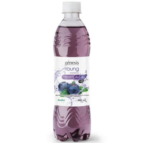GENESIS AGUA YOUNG ARANDANOS 500ML  – Cod Int: 68152
